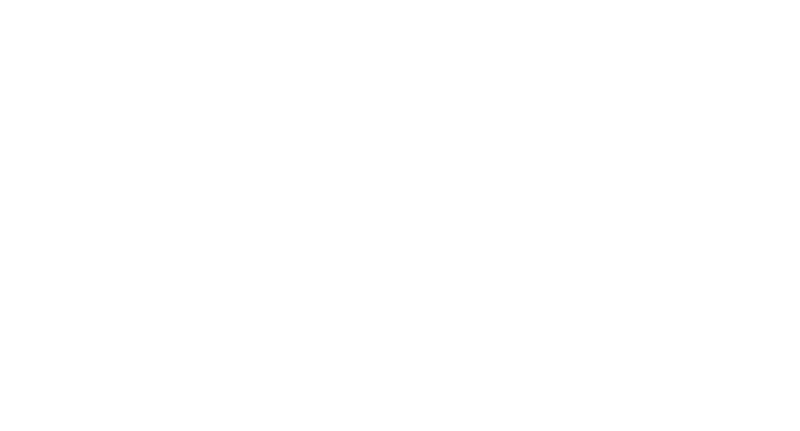 Zanyka